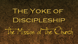The Yoke of Discipleship
